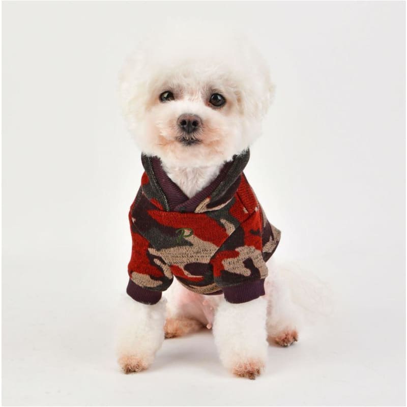 Colonel Dog Hoodie clothes for small dogs, cute dog apparel, cute dog clothes, dog apparel, dog hoodies