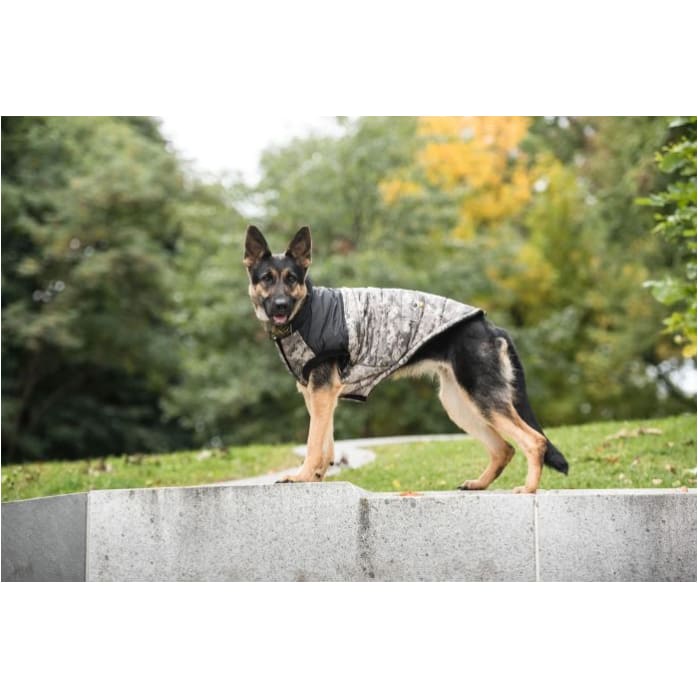 US Army Camo Dog Jacket Dog Apparel