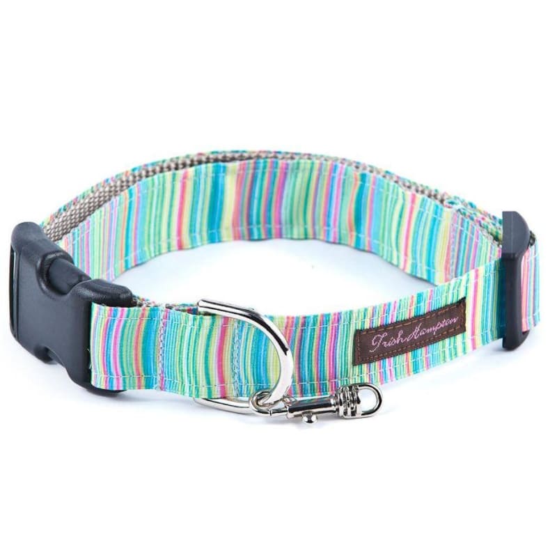 - Green Candy Stripe Dog Leash NEW ARRIVAL