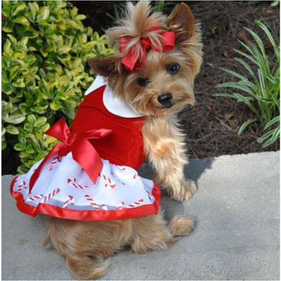 - Candy Cane Dog Dress With Matching Leash clothes for small dogs cute dog apparel cute dog clothes cute dog dresses dog apparel
