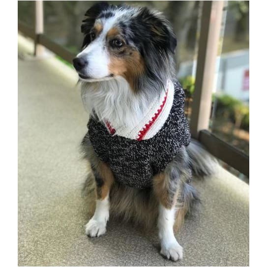 - The Boyfriend Wool Dog Sweater clothes for small dogs cute dog apparel cute dog clothes dog apparel dog hoodies