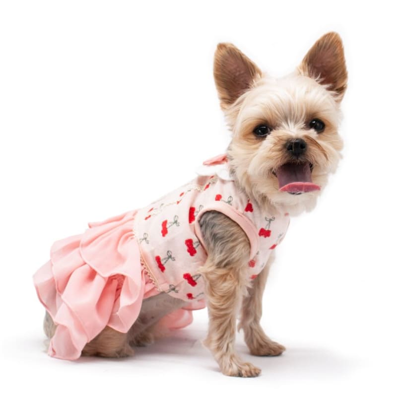 Cherish Cherry Dog Dress Dog Apparel clothes for small dogs, COATS, cute dog apparel, cute dog clothes, cute dog dresses