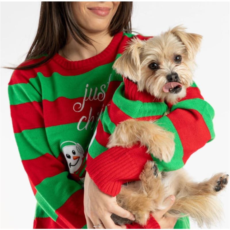 Just Chillin Ugly Christmas Dog Sweater + Matching Human Sweater Dog Apparel NEW ARRIVAL