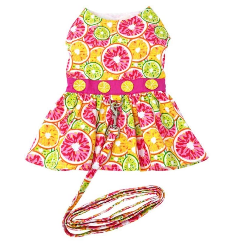Citrus Slice Dress With Matching Leash clothes for small dogs, cute dog apparel, cute dog clothes, cute dog dresses, dog apparel