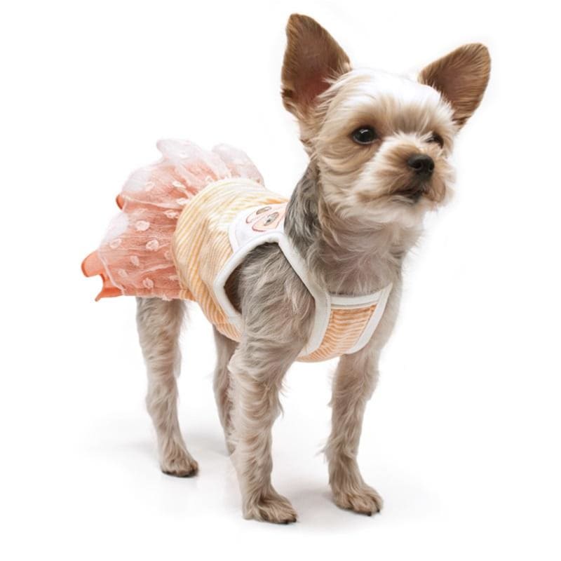 - Copy Of Dogo Puzzle Fun Dog Dress Coats Dresses New Arrival