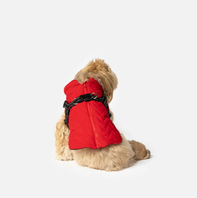 Country Living™ Quilted Harness Coat Red Dog Apparel NEW ARRIVAL