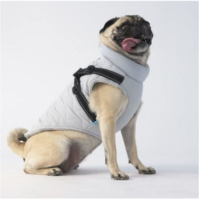 Country Living™ Quilted Harness Coat NEW ARRIVAL
