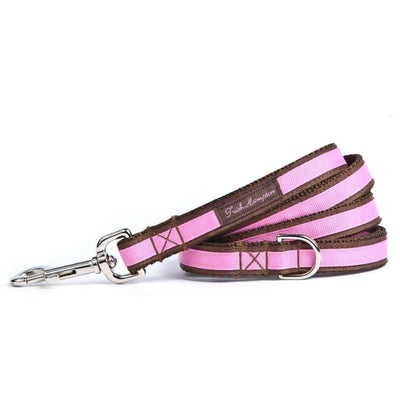 - Chocolate and Hot Pink Stripe Dog Leash NEW ARRIVAL