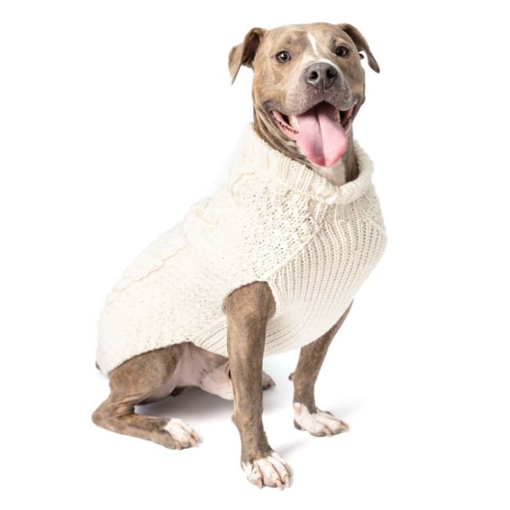 Cable Knit Wool Dog Sweater in Cream Dog Apparel clothes for small dogs, cute dog apparel, cute dog clothes, dog apparel, dog hoodies