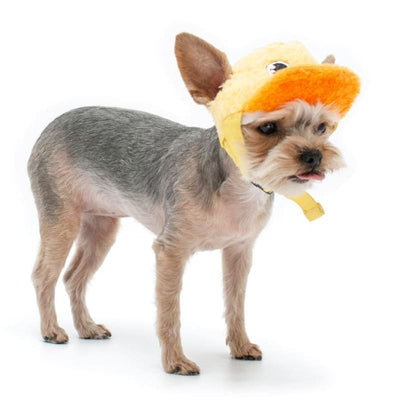 Duck Baseball Dog Hat clothes for small dogs, cute dog apparel, cute dog clothes, dog apparel, DOG HATS