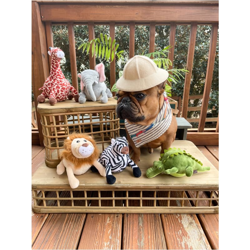 Safari Plush Dog Toy Collection