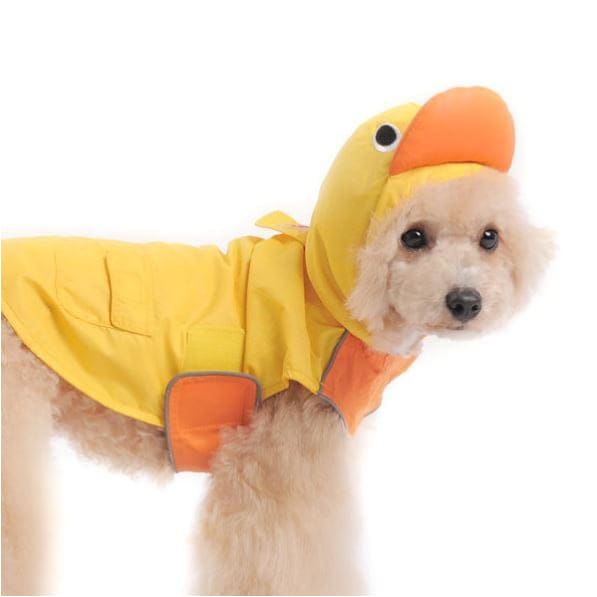 - Lil Ducky Dog Raincoat NEW ARRIVAL