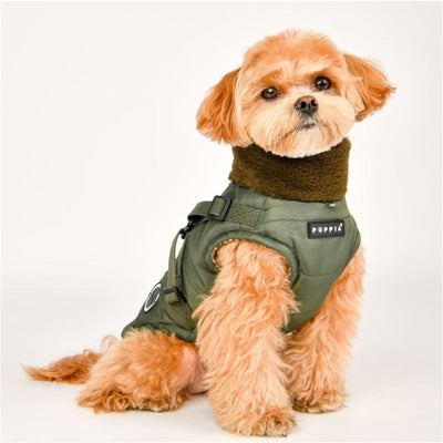 Donavan Harness Coat Dog Apparel