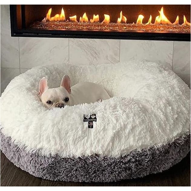 Snow White & Siberian Gray Shag Bagel Bed Dog Beds BAGEL BEDS, bagel beds for dogs, BEDS, cute dog beds, donut beds for dogs
