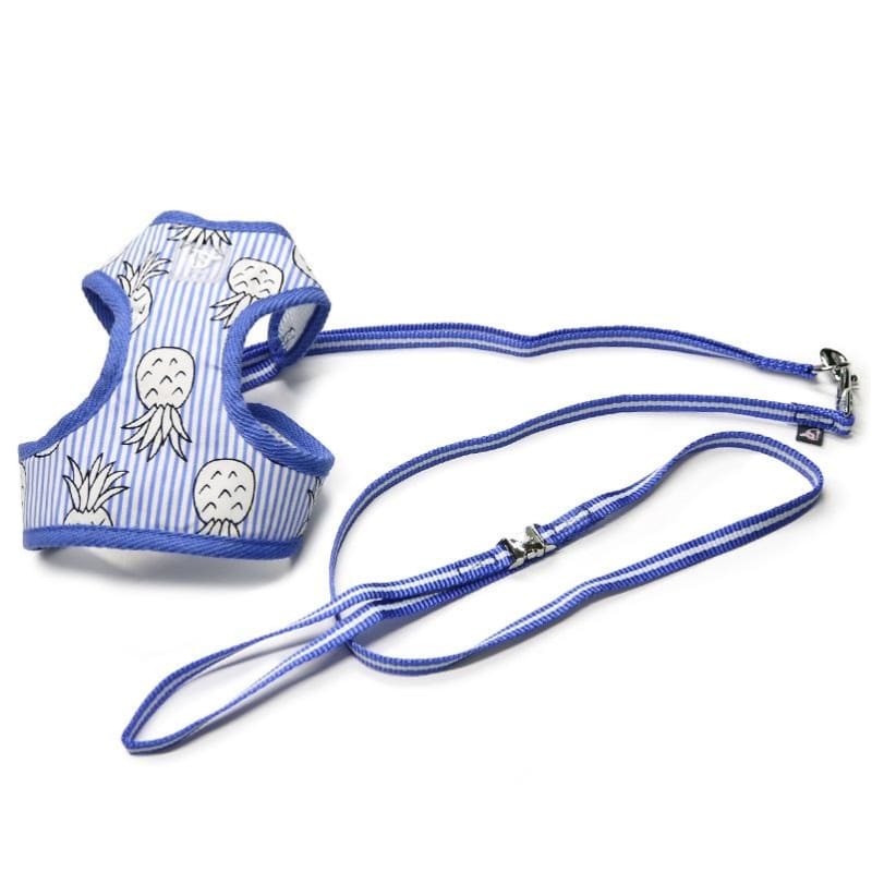 - EasyGo Pineapple Dog Harness & Leash Set in Blue DOGO NEW ARRIVAL