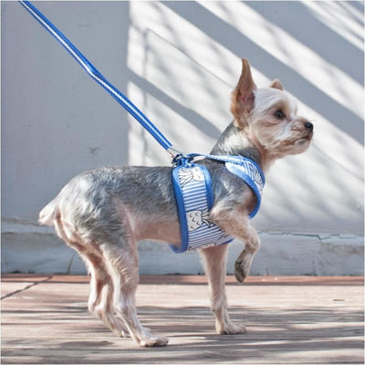- EasyGo Pineapple Dog Harness & Leash Set in Blue DOGO NEW ARRIVAL