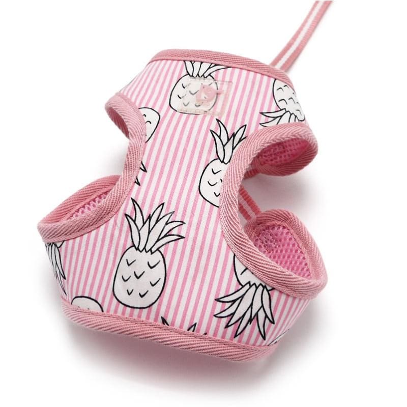 - EasyGo Pineapple Dog Harness & Leash Set in Pink DOGO NEW ARRIVAL