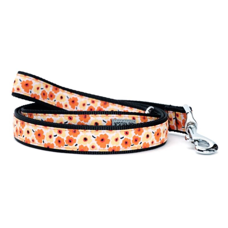 Fluers Collar & Leash Collection Pet Collars & Harnesses bling dog collars, cute dog collar, dog collars, fun dog collars, leather dog 