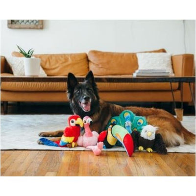 - Fetching Flock Plush Dog Toy Collection NEW ARRIVAL