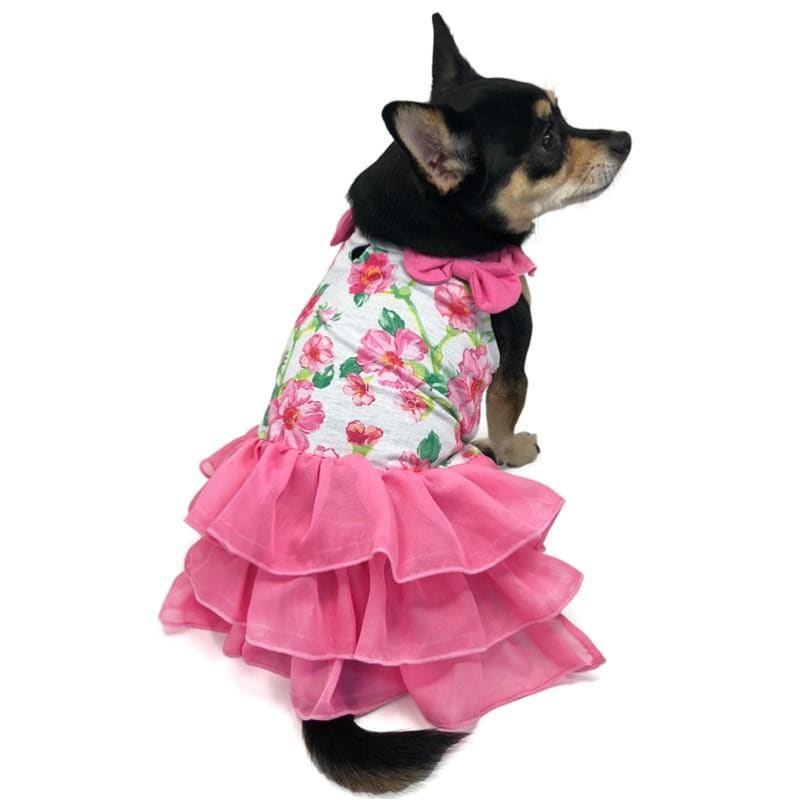 - Floral Flounce Dog Dress Coats Dresses New Arrival