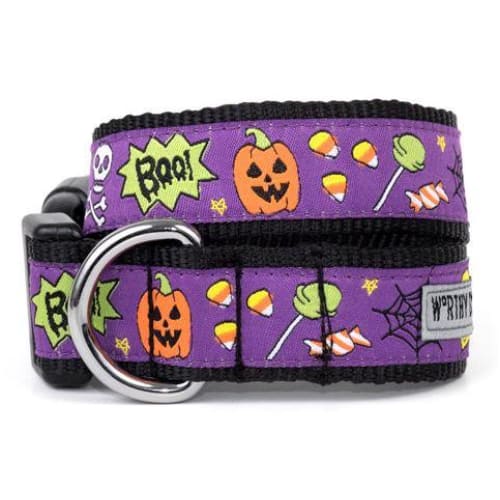 Fright Night Collar & Leash Collection bling dog collars, cute dog collar, dog collars, fun dog collars, leather dog collars