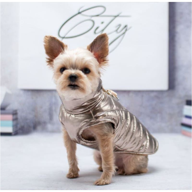 Runner Dog Coat Gold clothes for small dogs, COATS, cute dog apparel, cute dog clothes, dog apparel
