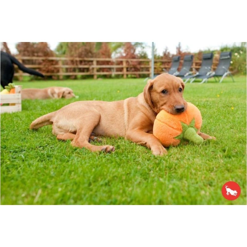 Plush Dog Toy Sets – Ruff Houzin