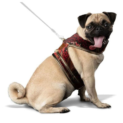 Venetian Luxe Dog Harness NEW ARRIVAL