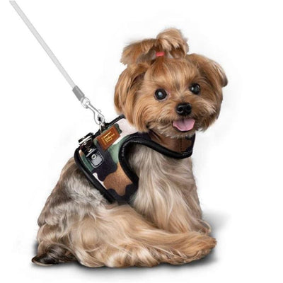 Rambo Luxe Dog Harness NEW ARRIVAL