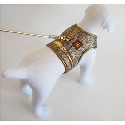 Gianni Luxe Dog Harness NEW ARRIVAL