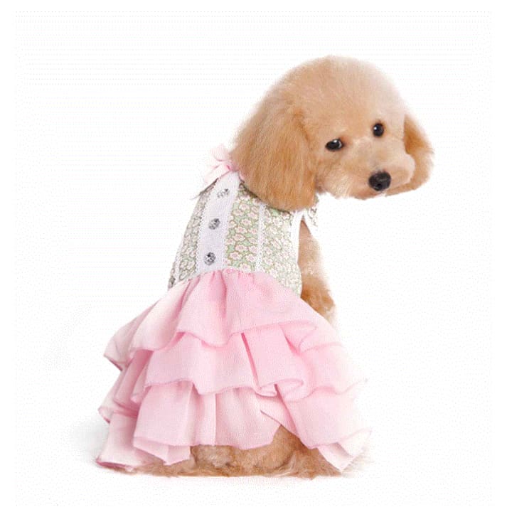 - Gatsby Girl Dog Dress DRESSES NEW ARRIVAL