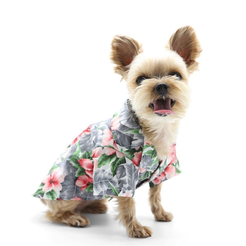 Tropical Floral Dog Shirt Gray Dog Apparel clothes for small dogs, cute dog apparel, cute dog clothes, dog apparel, dog sweaters