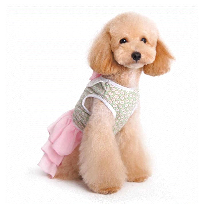 - Gatsby Girl Dog Dress DRESSES NEW ARRIVAL