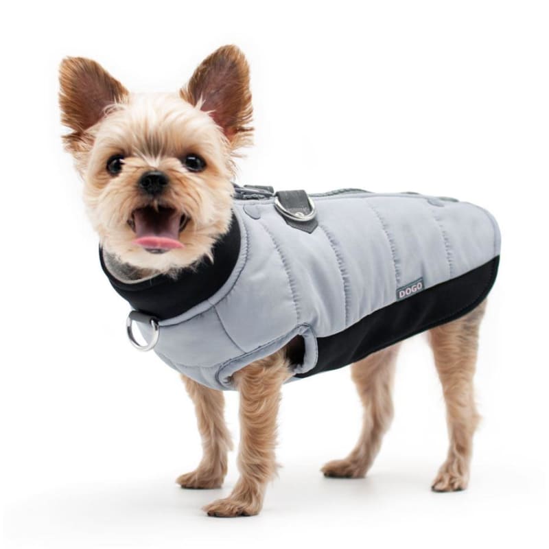 Urban Runner Dog Coat Gray Dog Apparel clothes for small dogs, COATS, cute dog apparel, cute dog clothes, dog apparel