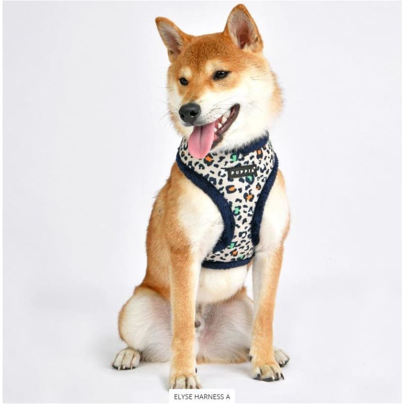 Elyse Dog Harness A dog harnesses, harnesses for small dogs, NEW ARRIVAL