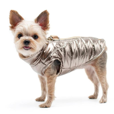 Runner Dog Coat Gold clothes for small dogs, COATS, cute dog apparel, cute dog clothes, dog apparel