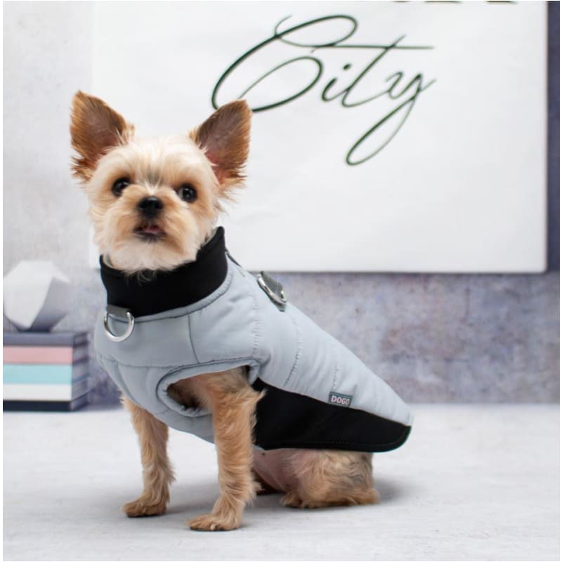 Urban Runner Dog Coat Gray Dog Apparel clothes for small dogs, COATS, cute dog apparel, cute dog clothes, dog apparel