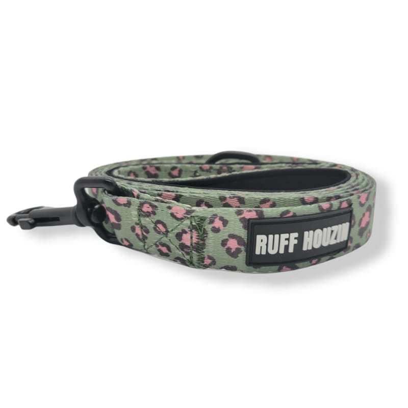 Green & Pink Leopard Print Dog Collar & Leash NEW ARRIVAL