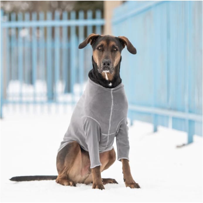 Gondola Base Layer Dog Shirt - Charcoal Dog Apparel NEW ARRIVAL