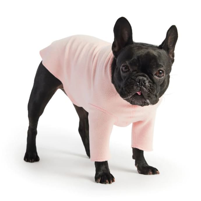 Gondola Base Layer Dog Shirt - Pink Dog Apparel NEW ARRIVAL