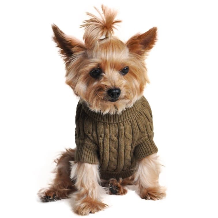 100% Pure Combed Cotton Cable Knit Dog Sweater – Ruff Houzin
