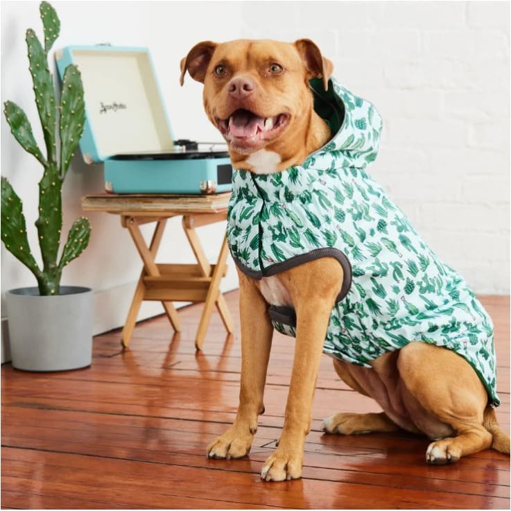 Green Elasto-Fit Reversible Raincoat Dog Apparel NEW ARRIVAL