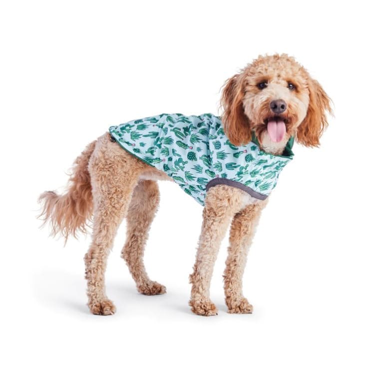 Green Elasto-Fit Reversible Raincoat Dog Apparel NEW ARRIVAL