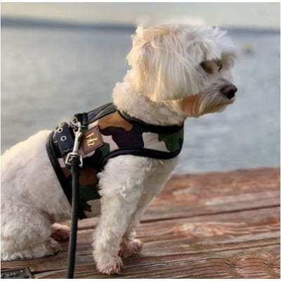 Rambo Luxe Dog Harness NEW ARRIVAL