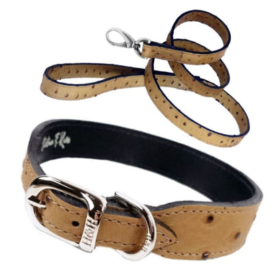Italian Leather Dog Collar in Ostrich & Nickel