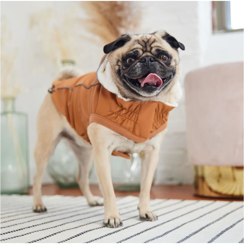 Hazel Elasto-Fit Insulated Raincoat Dog Apparel NEW ARRIVAL