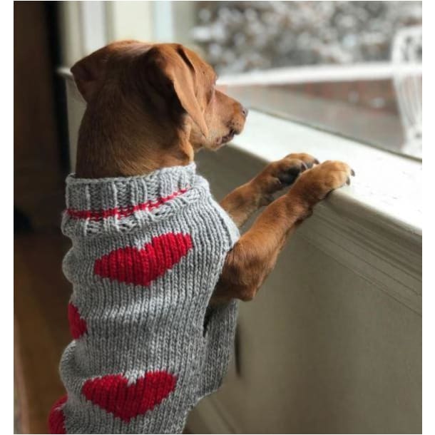 Red Hearts Dog Sweater clothes for small dogs, cute dog apparel, cute dog clothes, dog apparel, dog hoodies