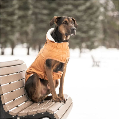 Hazel Elasto-Fit Insulated Raincoat Dog Apparel NEW ARRIVAL