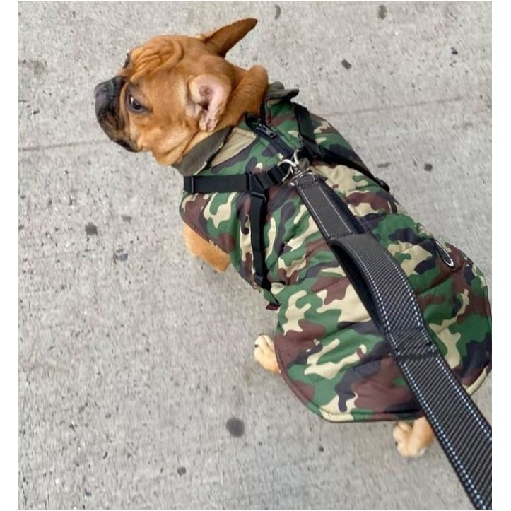 Mountaineer II Camo Dog Vest With Harness Dog Apparel clothes for small dogs, cute dog apparel, cute dog clothes, dog apparel, dog harnesses