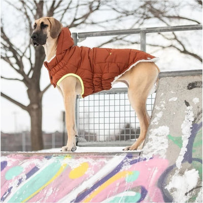 Hazel Elasto-Fit Super Puff Dog Parka Dog Apparel NEW ARRIVAL
